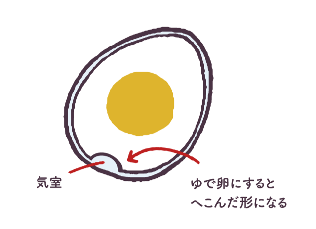 ゆで卵のへこんだ部分の正体は?