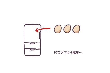 たまごの正しい保存方法。冷蔵？常温？