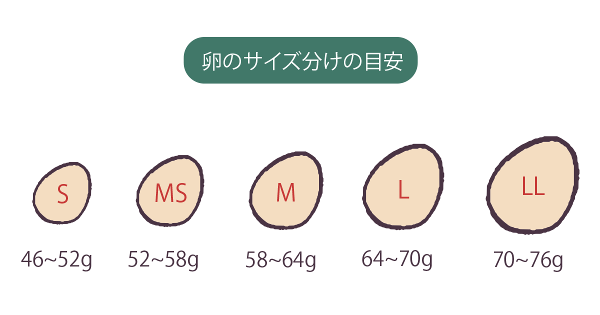 たまごは大きいほうがお得？
