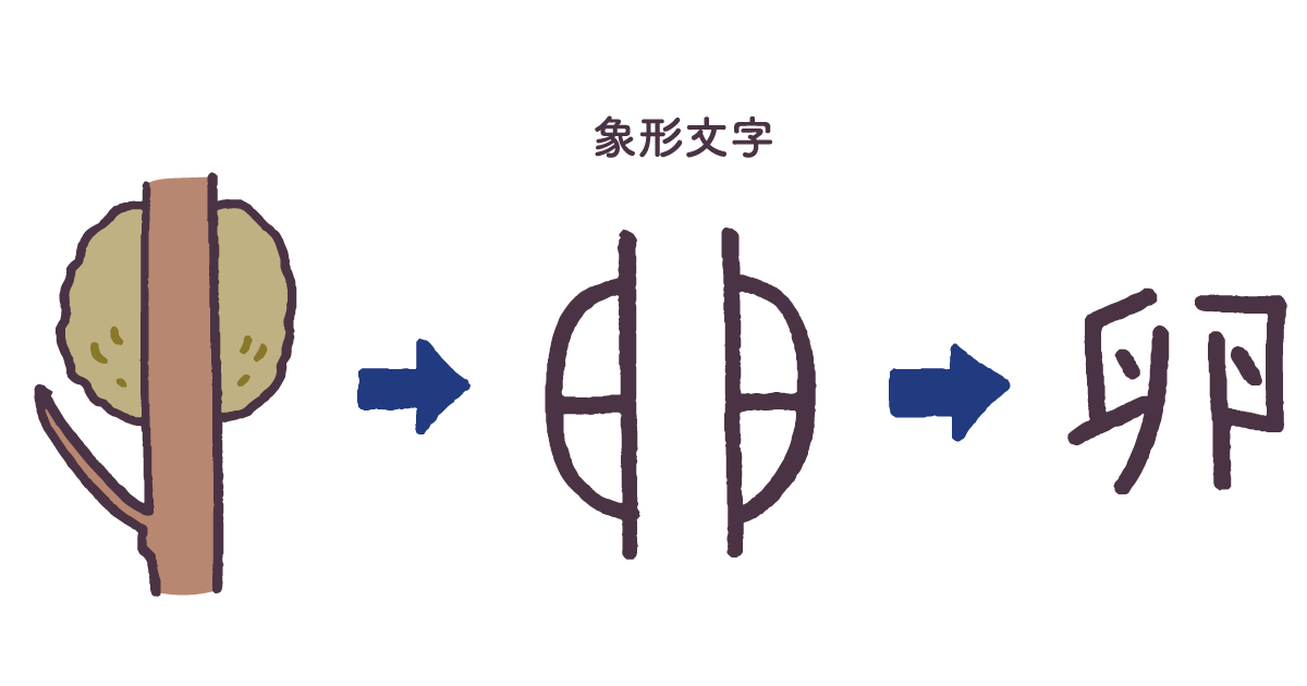 「卵」の漢字の成り立ちは？