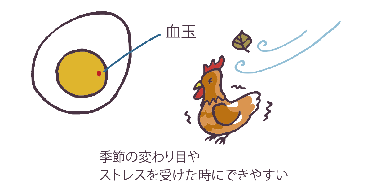 血が混じったたまごは食べても大丈夫？