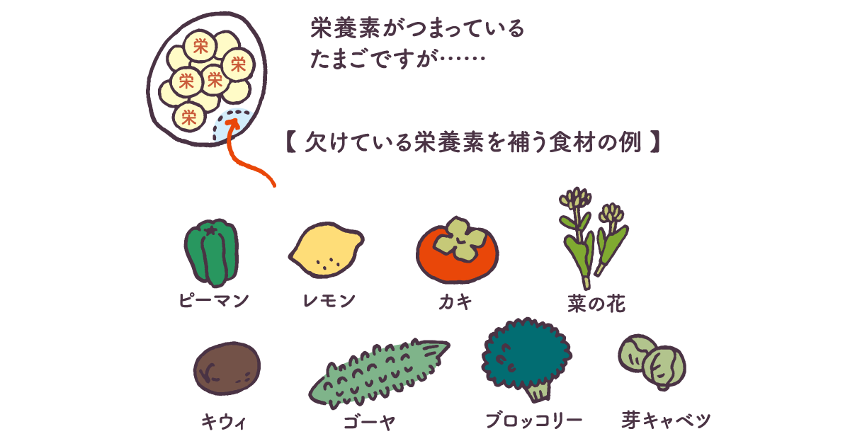 たまごにほとんど含まれていない栄養素って？？