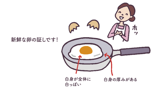 新鮮なたまごほど白身が濁っている！？