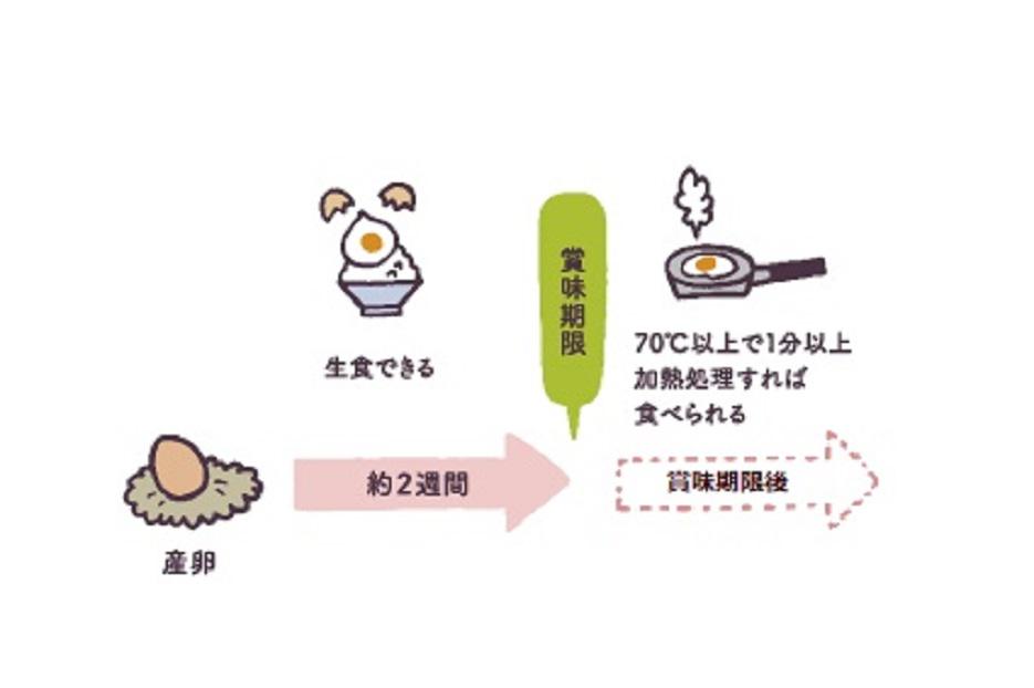 賞味期限を過ぎてしまった卵は食べてはいけないの？