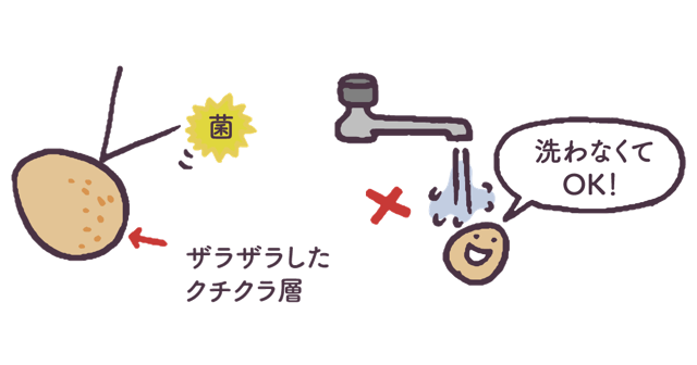 たまごは洗う？　洗わない？