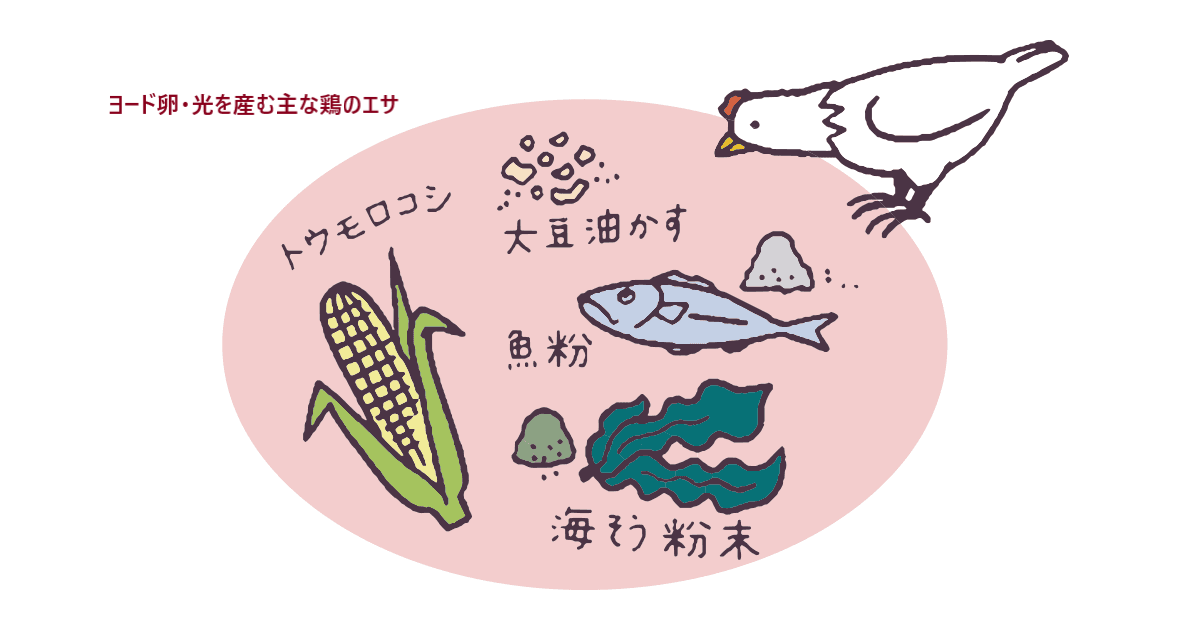 鶏のエサには何の原料が使われているの？