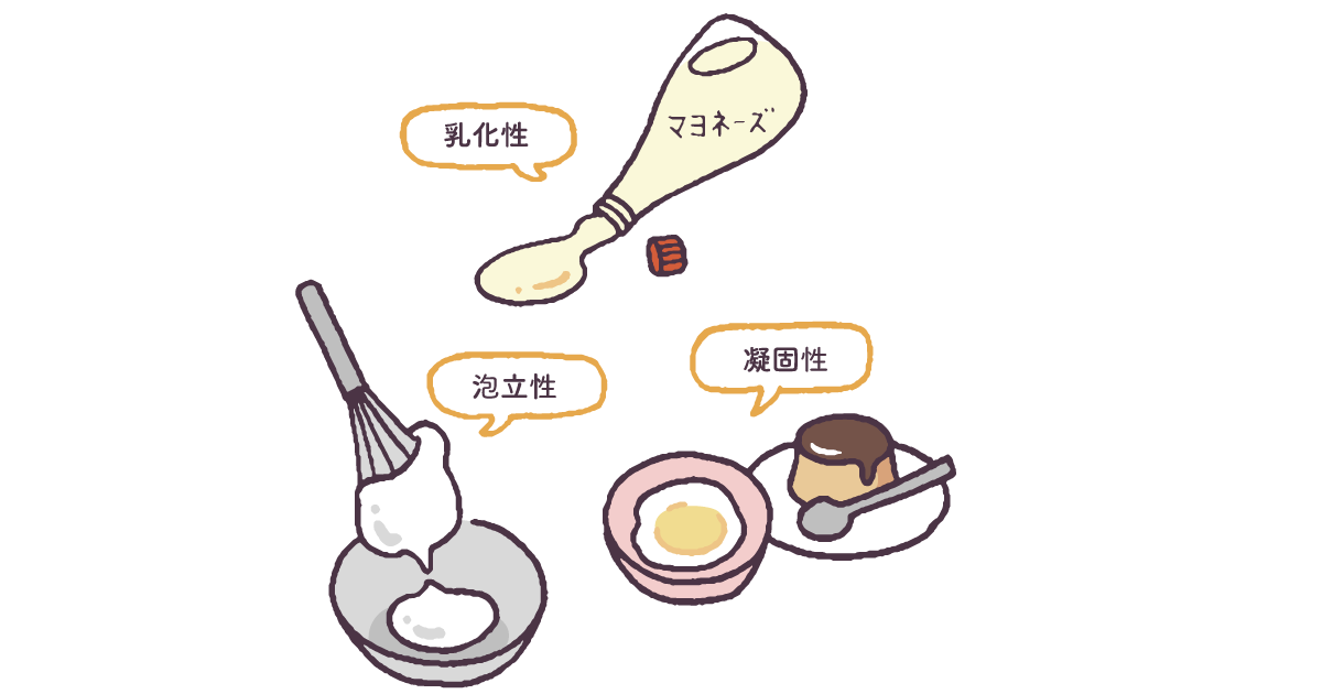 混ざる！固まる！泡立つ！たまごの調理特性のヒミツ！