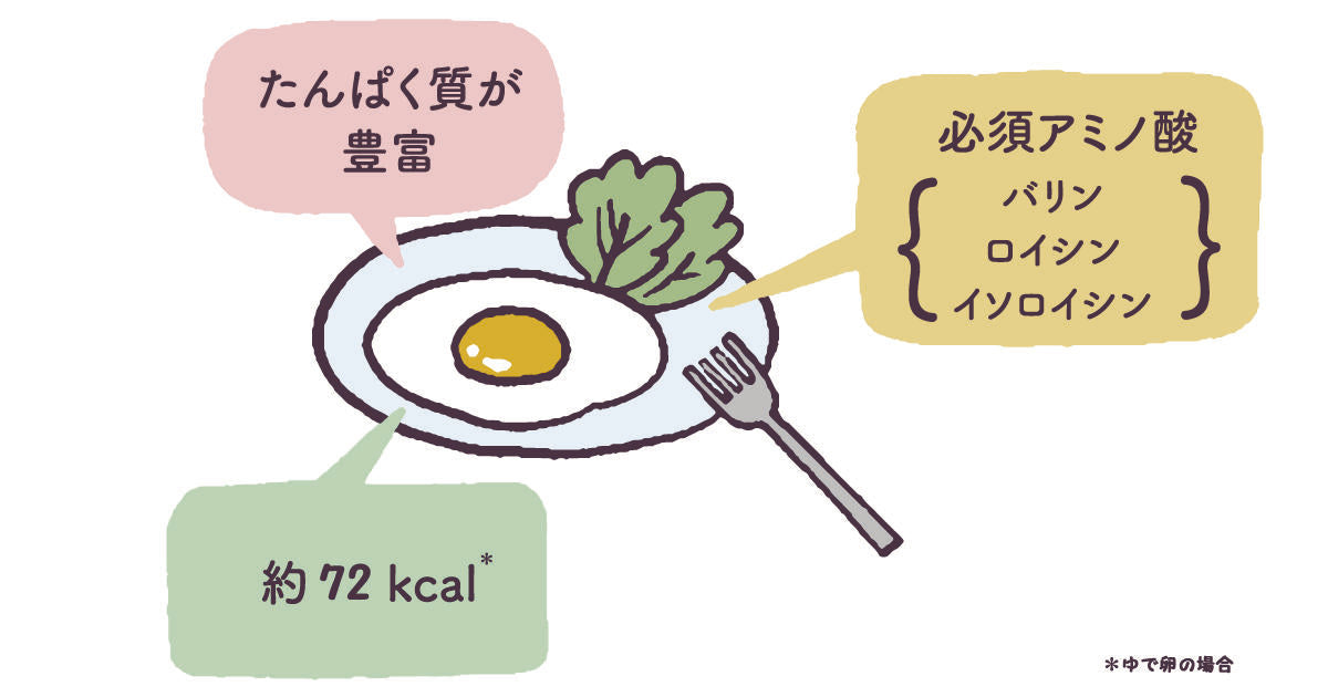 たまごはダイエットの味方！