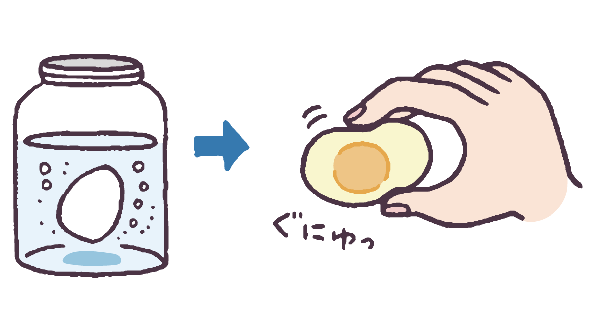 お酢で殻が消える！スケルトンたまごを作ってみよう