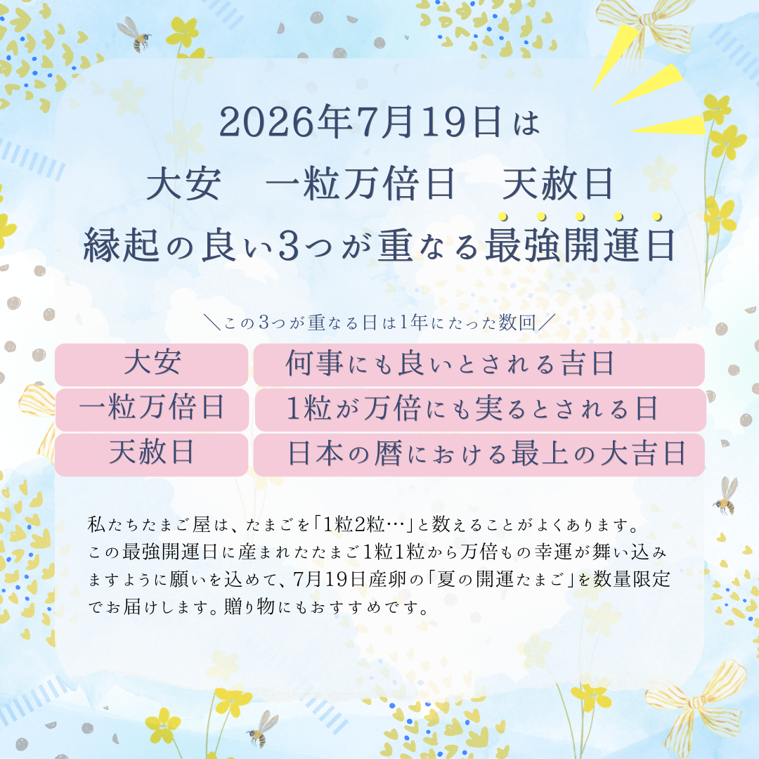 【予約限定販売】2026年夏の開運たまご（送料込）