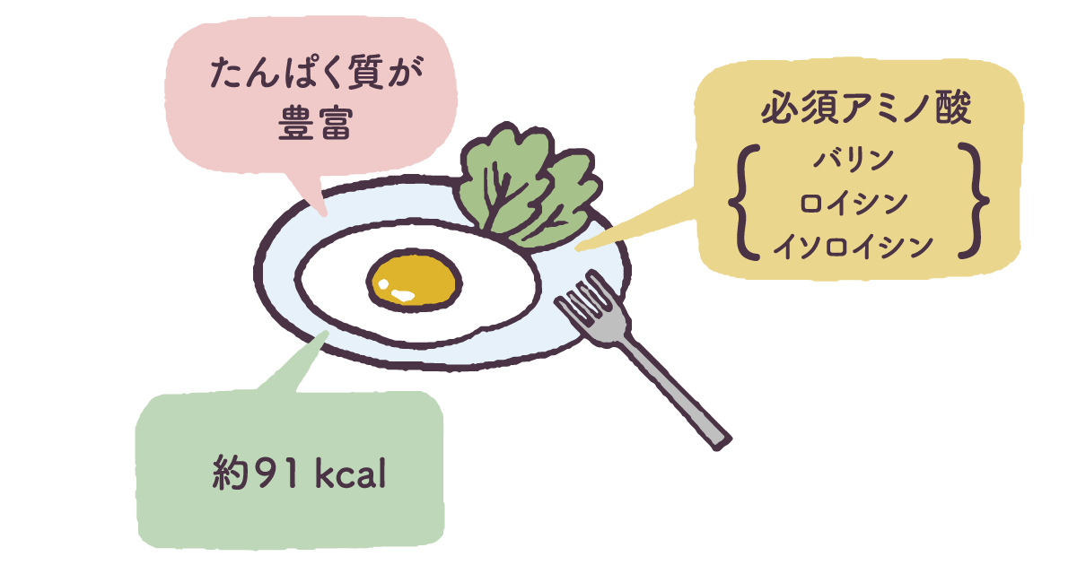 たまごはダイエットの味方 教えて たまご先生